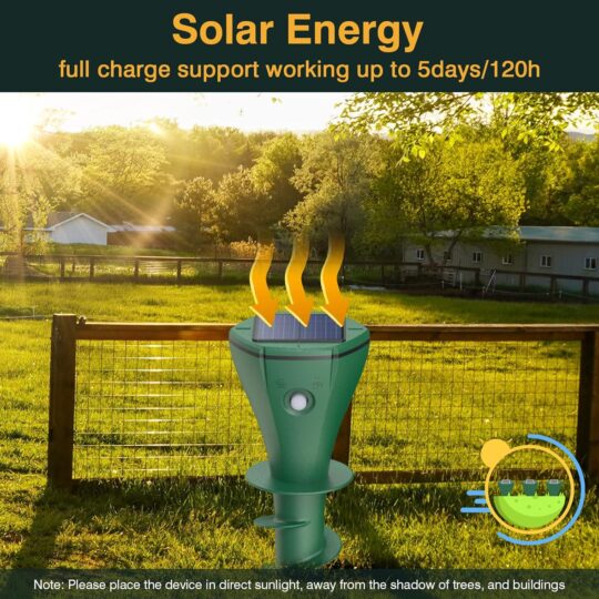 81zgWKpXvHL._AC_SL1500_