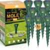 Solar-powered ultrasonic mole repeller with 3 smart vibration modes and screw-in installation—ideal for gardens and lawns.